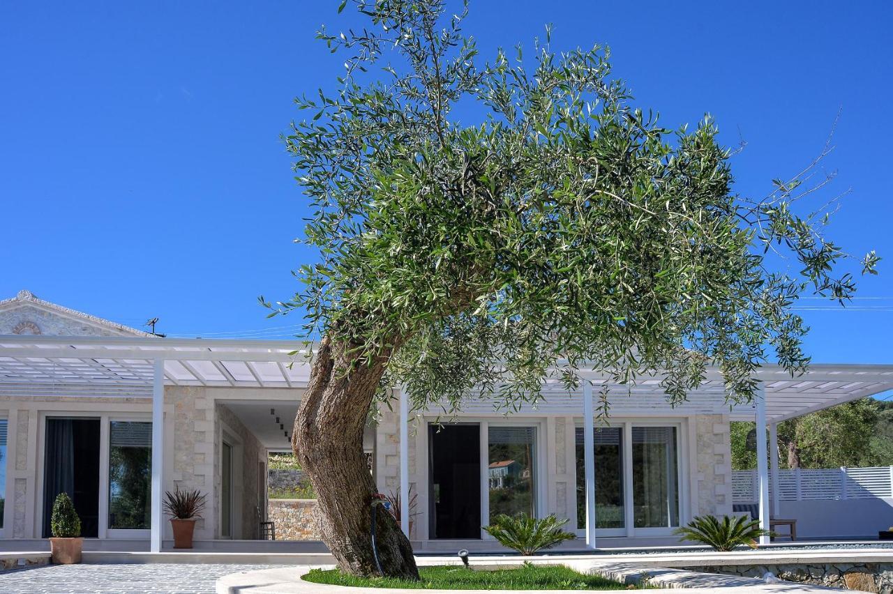 Paxos Luxury Living Junior Suites Gaios Buitenkant foto